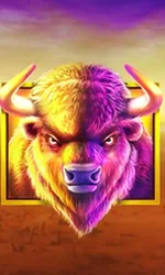 Buffalo King